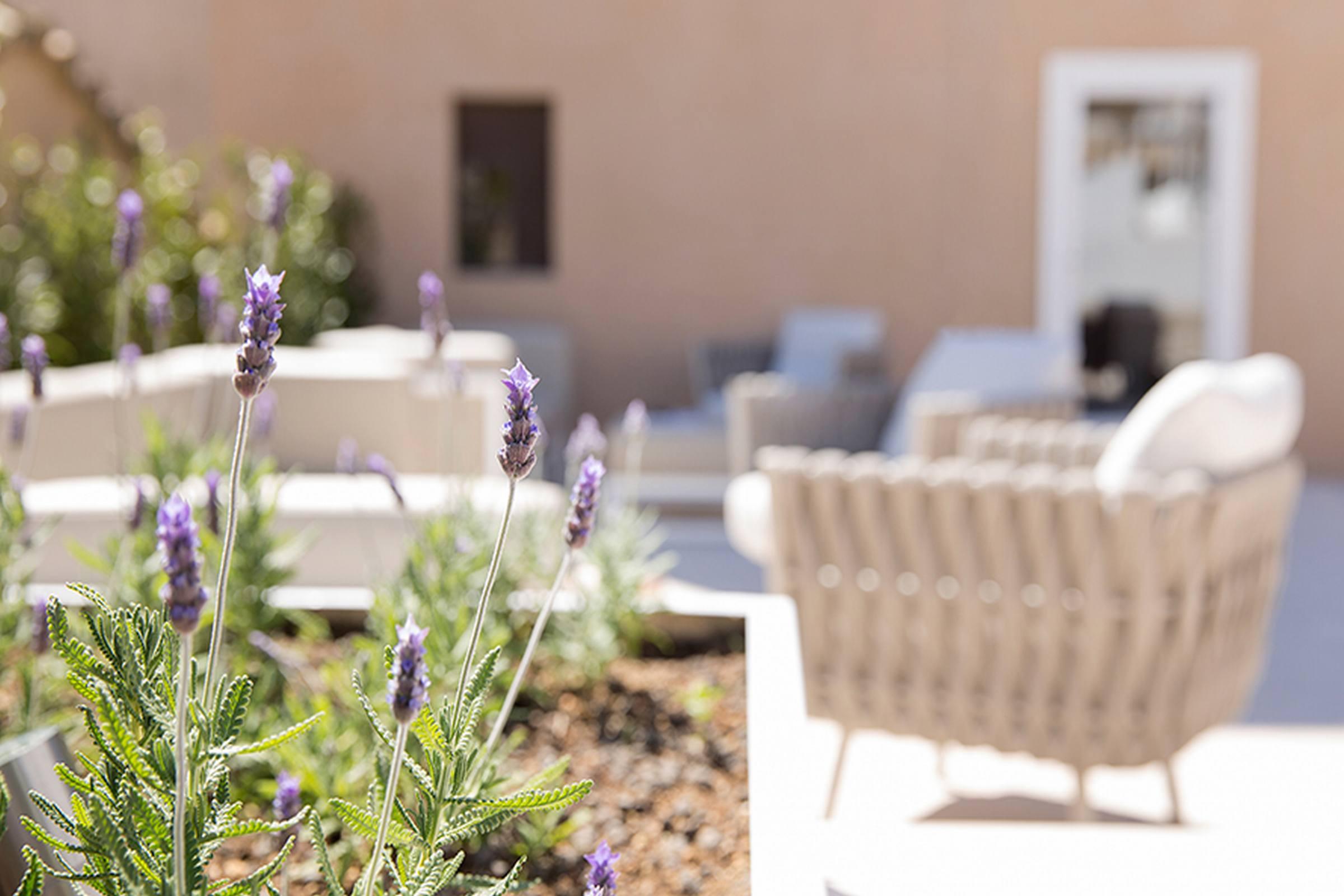 Hotel Convent De La Missio - Grand Luxury Boutique Hotel, Adults Only PMI